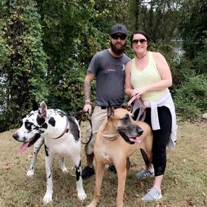 Meet your Posher, Brad